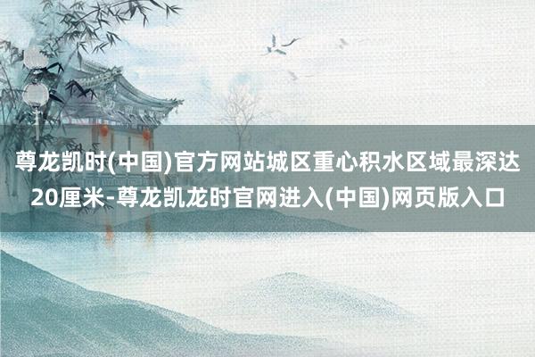 尊龙凯时(中国)官方网站城区重心积水区域最深达20厘米-尊龙凯龙时官网进入(中国)网页版入口